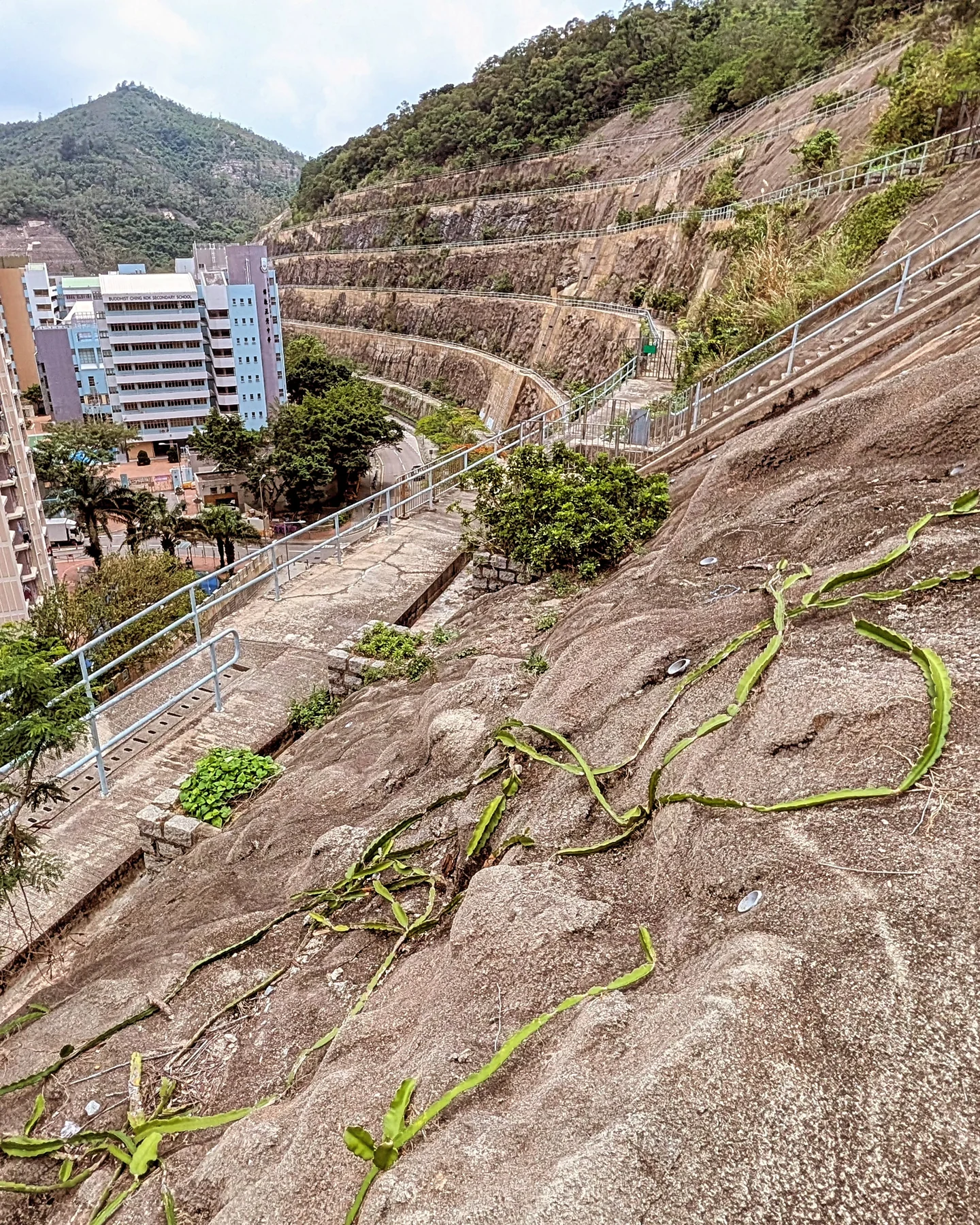 調景嶺一帶山坡步道與周邊建築